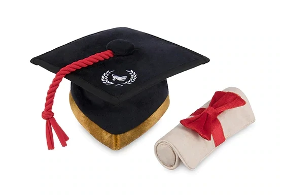 Play Cap And Scroll Dog Toy