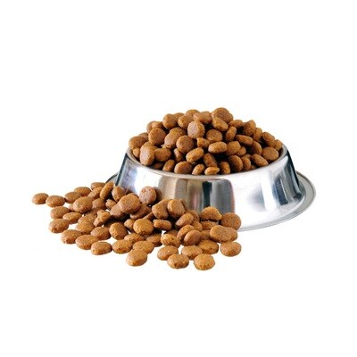 DOG DRY FOOD