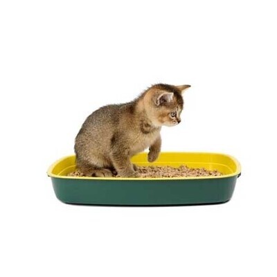 CAT LITTER