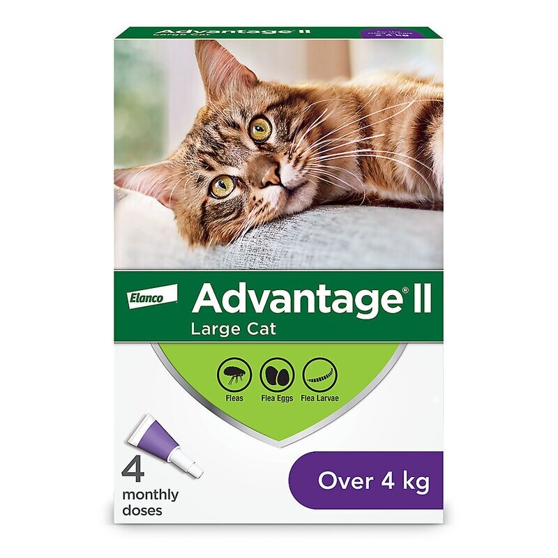 Advantage II Large Cat > 4kg , 4 Doses