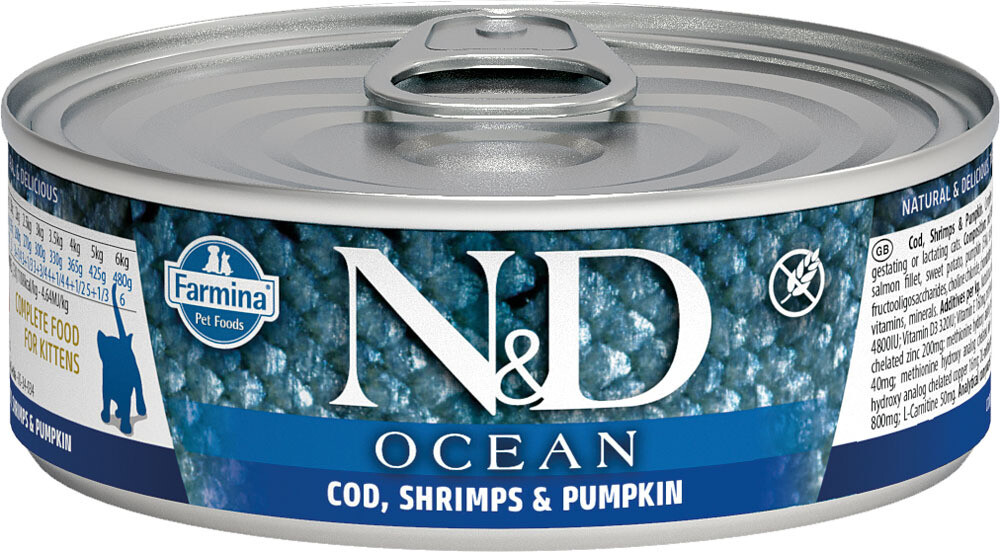 N&D Kitten Ocean Case X 24
