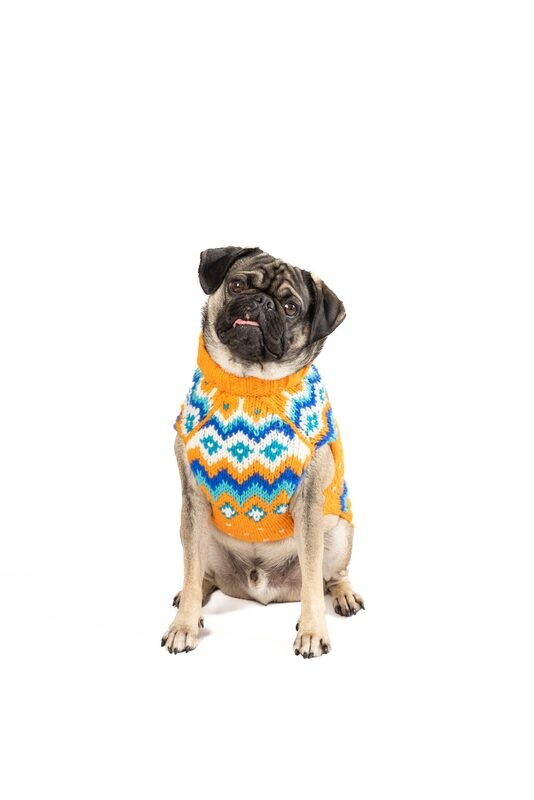 Chilly Dog Artic Amber Sweater XS