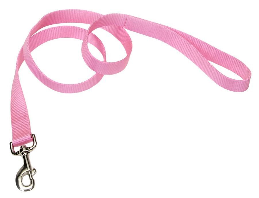 Coastal Single Ply Nylon Leash Pink Bright