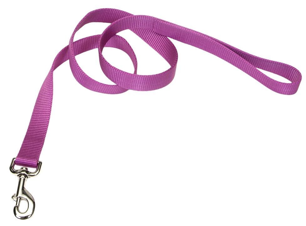 Coastal Single Ply Nylon Leash Orchid
