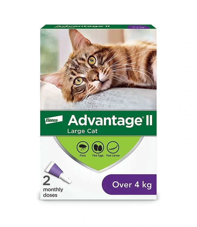 Advantage II Large Cat >4kg 2 Doses