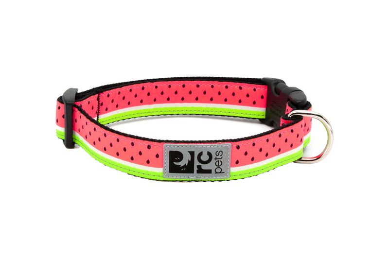 RC Pet Clip Collar M1  12"-20" Watermelon