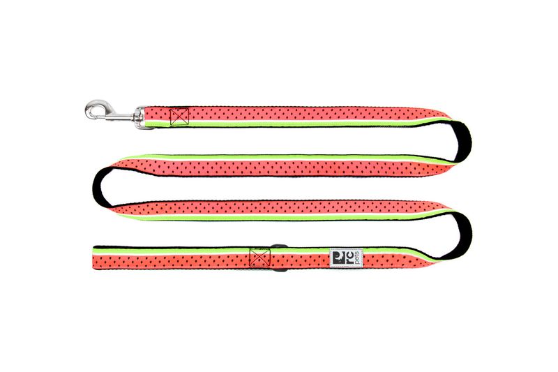 Rcpets 3/4x6 Watermelon Dog Leash