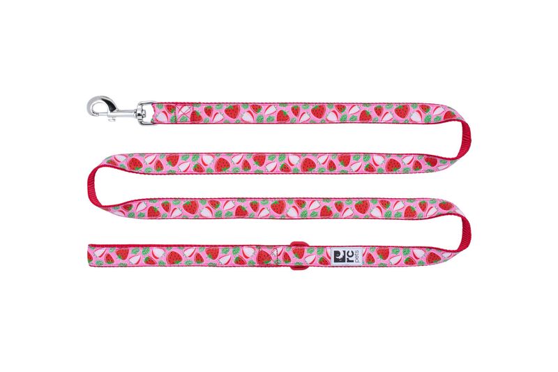 Rcpets 3/4x6 Strawberries Dog Leash
