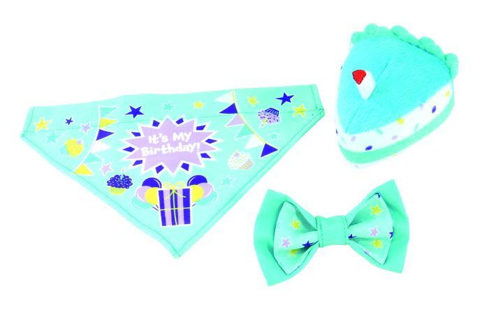 Lil Pal Birthday Combo Teal Bandana Bow And Toy