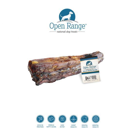 Open Range Kangaroo Tail