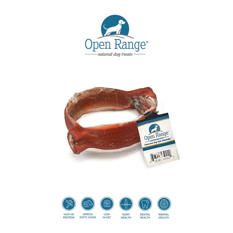 Open Range Beef Bully Ring
