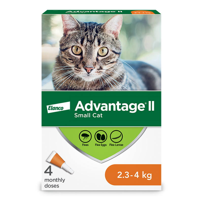 Advantage II Small Cat 4 Doses