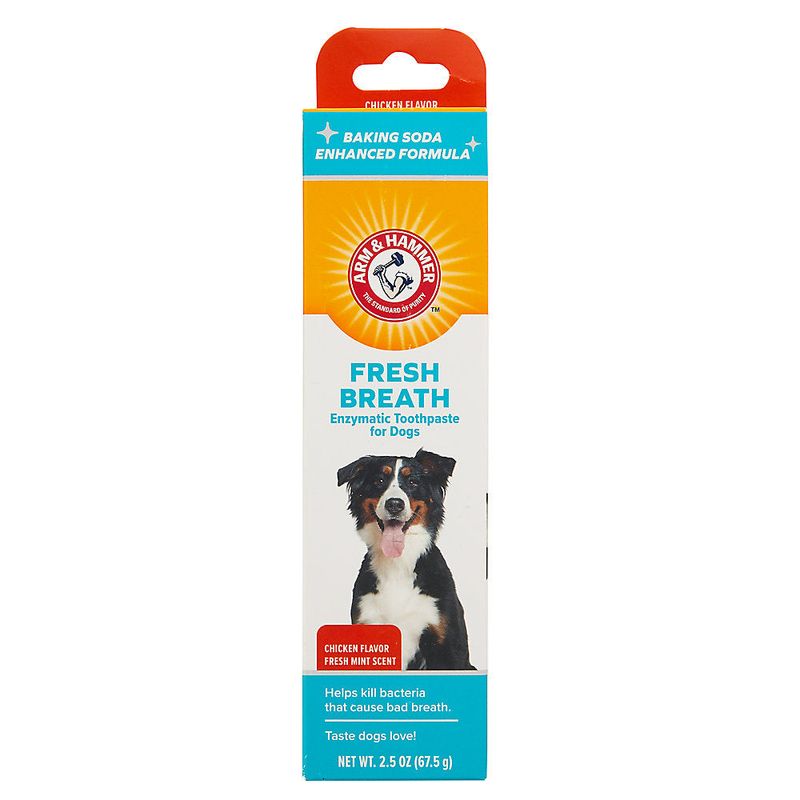 Arm & Hammer Advanced Care Enzymatic Toothpaste For Dogs