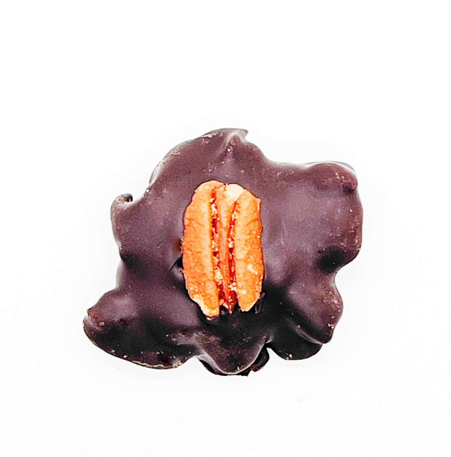 Pecan Terrapins Dark