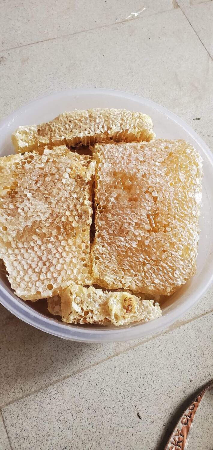 قروف سدر ملكي