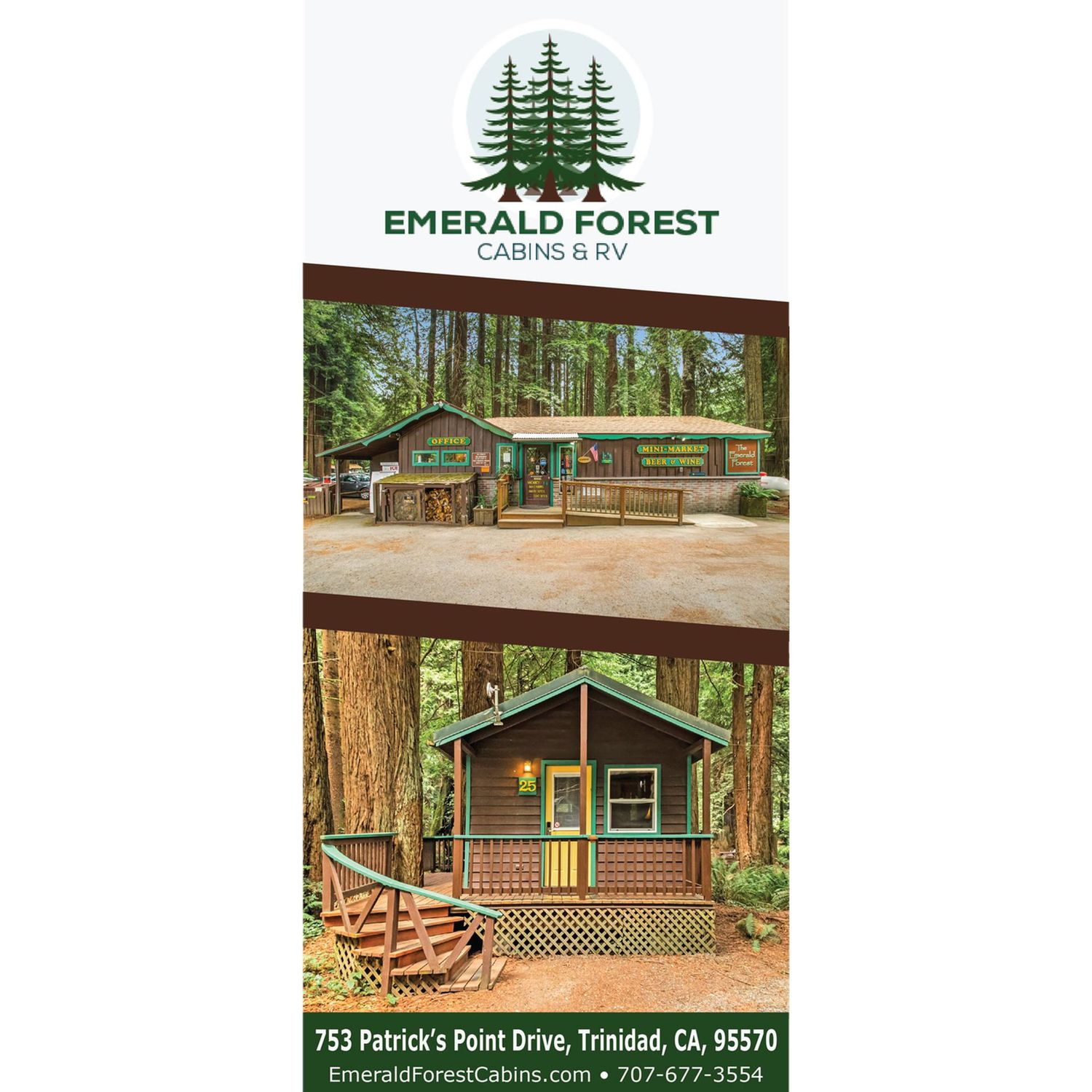 Emerald Forest Rack Cards