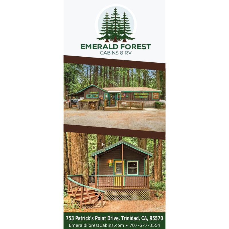 Emerald Forest Rack Cards