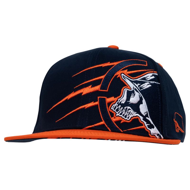 Charge Flex Hat