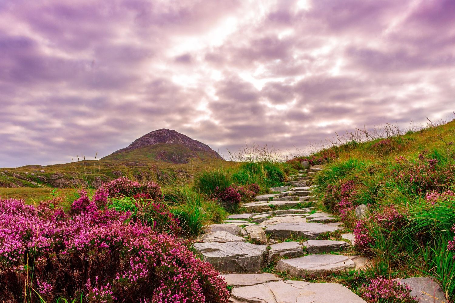 Am I On the Right Path Reading- Guidance to Help You Walk Your Ideal Path