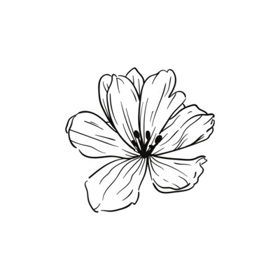 Fiori