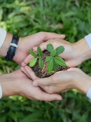 Community-driven CSR initiative featuring volunteers planting trees with eco-friendly seed balls by Human Birds International®, promoting sustainability and environmental responsibility through impactful corporate social responsibility programs.