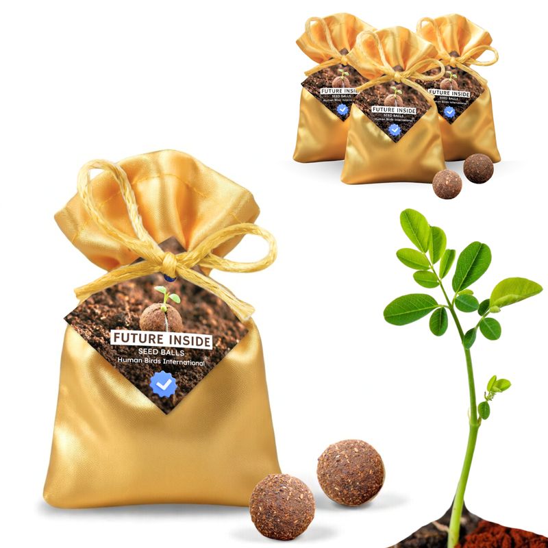Human Birds International® Seed Balls Return Gift | Premium Silky Cloth Bag with 2 Moringa seed balls | Eco-Friendly Wedding &amp; Birthday Favors (Without Customization) (Ready Made)