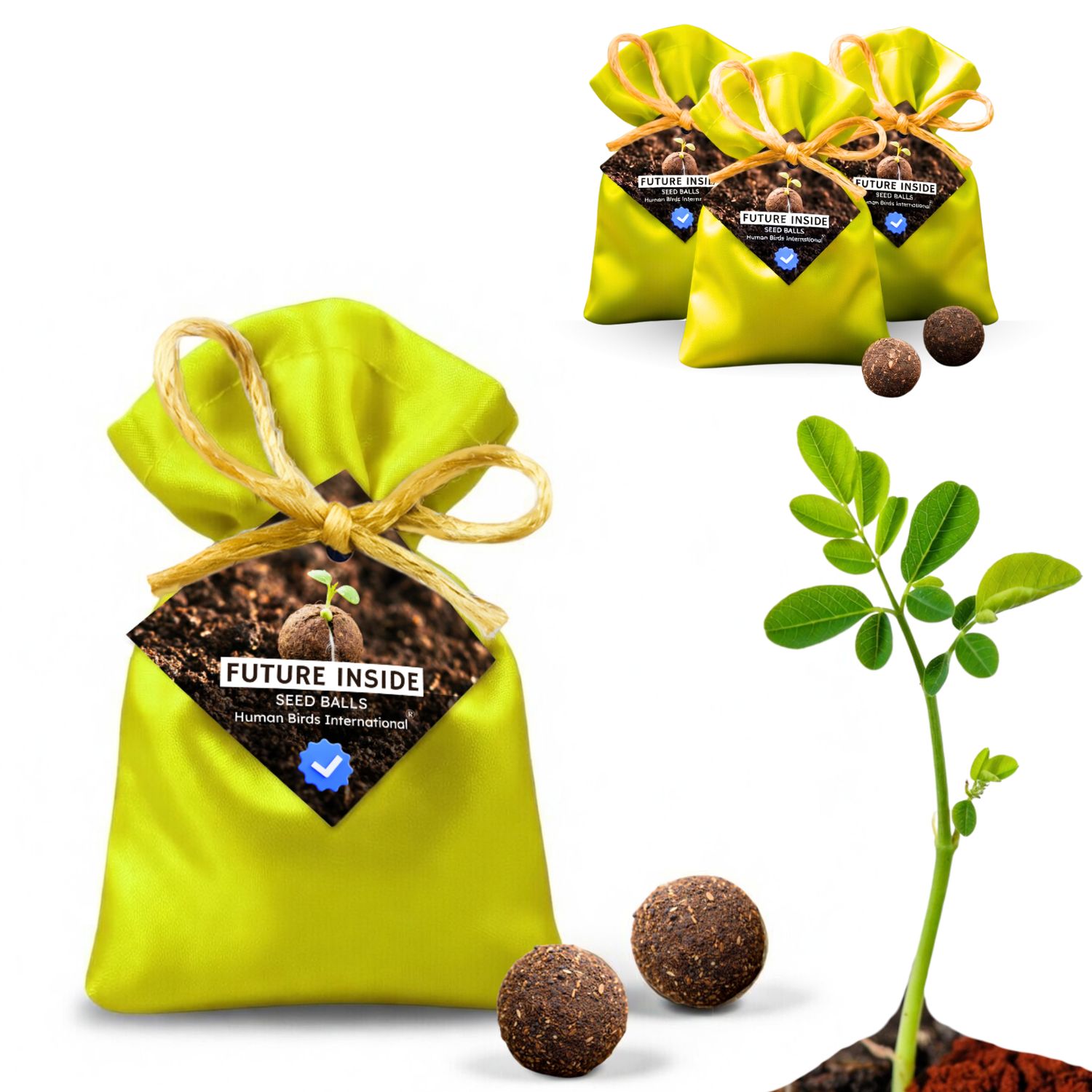 Human Birds International® Seed Balls Return Gift | Premium Silky Cloth Bag with 2 Moringa seed balls | Eco-Friendly Wedding &amp; Birthday Favors (Without Customization) (Ready Made)