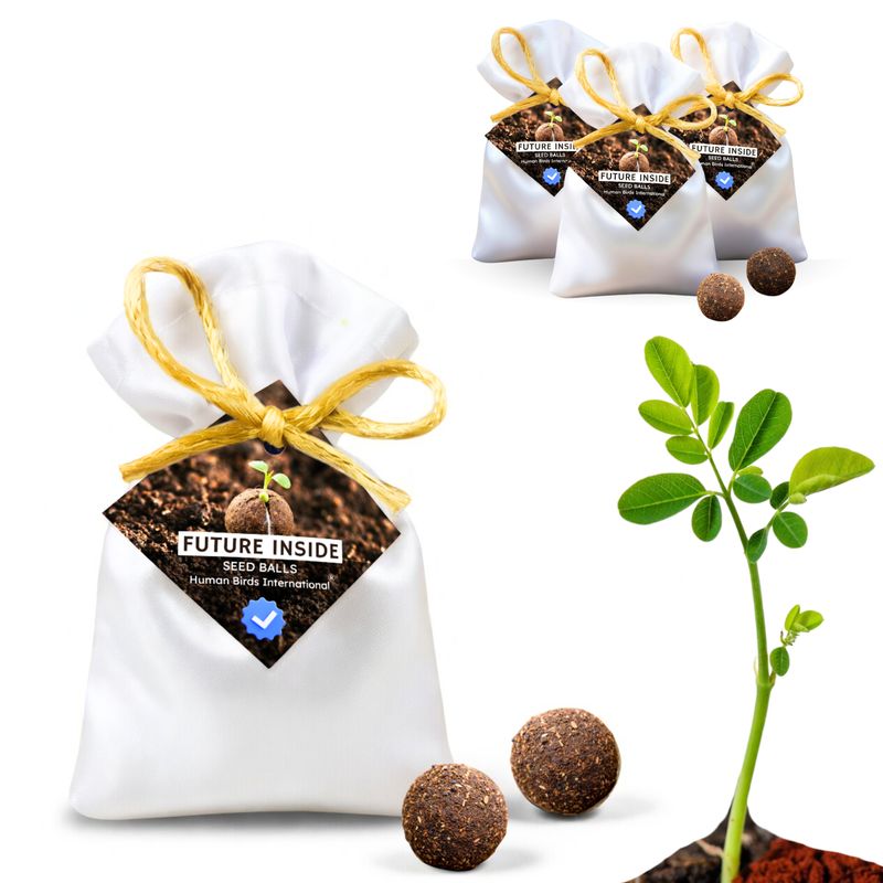 Human Birds International® Seed Balls Return Gift | Premium Silky Cloth Bag with 2 Moringa seed balls | Eco-Friendly Wedding &amp; Birthday Favors (Without Customization) (Ready Made)