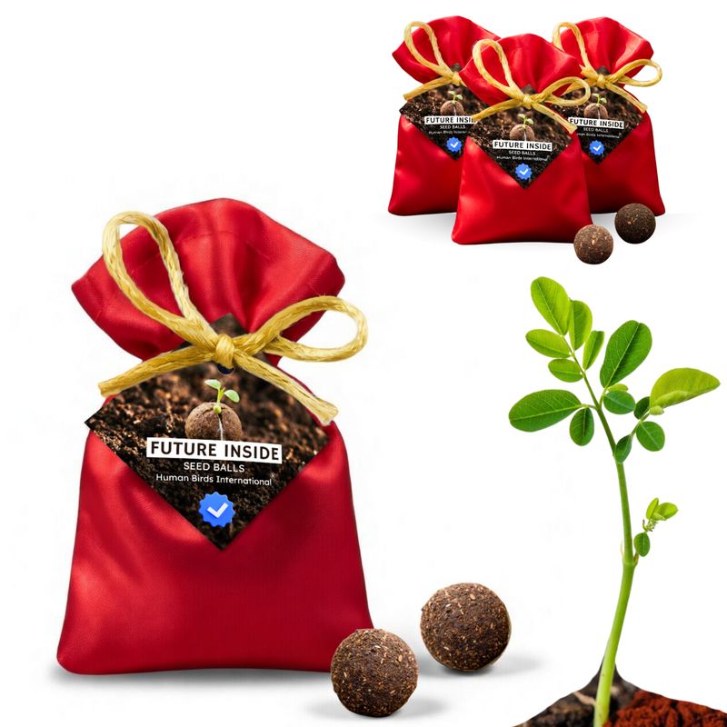 Human Birds International® Seed Balls Return Gift | Premium Silky Cloth Bag with 2 Moringa seed balls | Eco-Friendly Wedding &amp; Birthday Favors (Without Customization) (Ready Made)