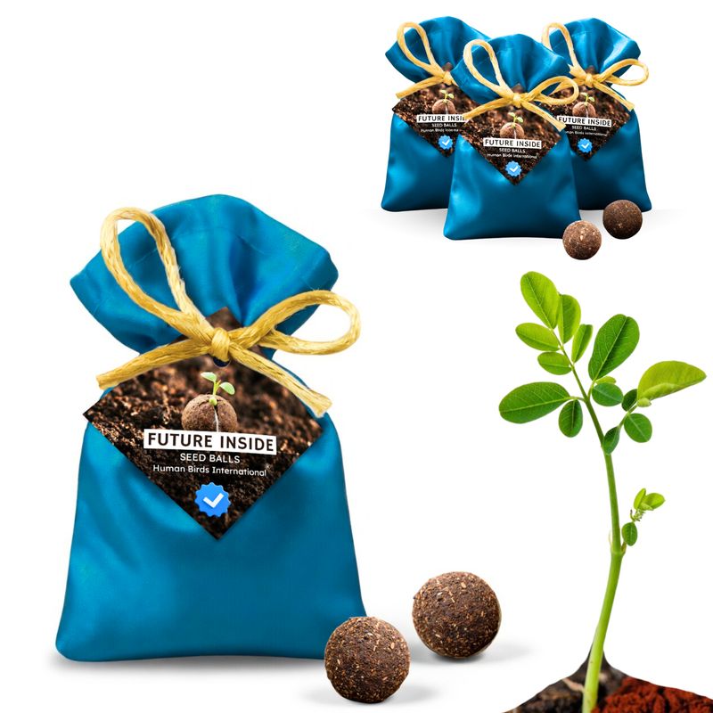 Human Birds International® Seed Balls Return Gift | Premium Silky Cloth Bag with 2 Moringa seed balls | Eco-Friendly Wedding &amp; Birthday Favors (Without Customization) (Ready Made)