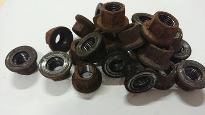 Wheelnut USED