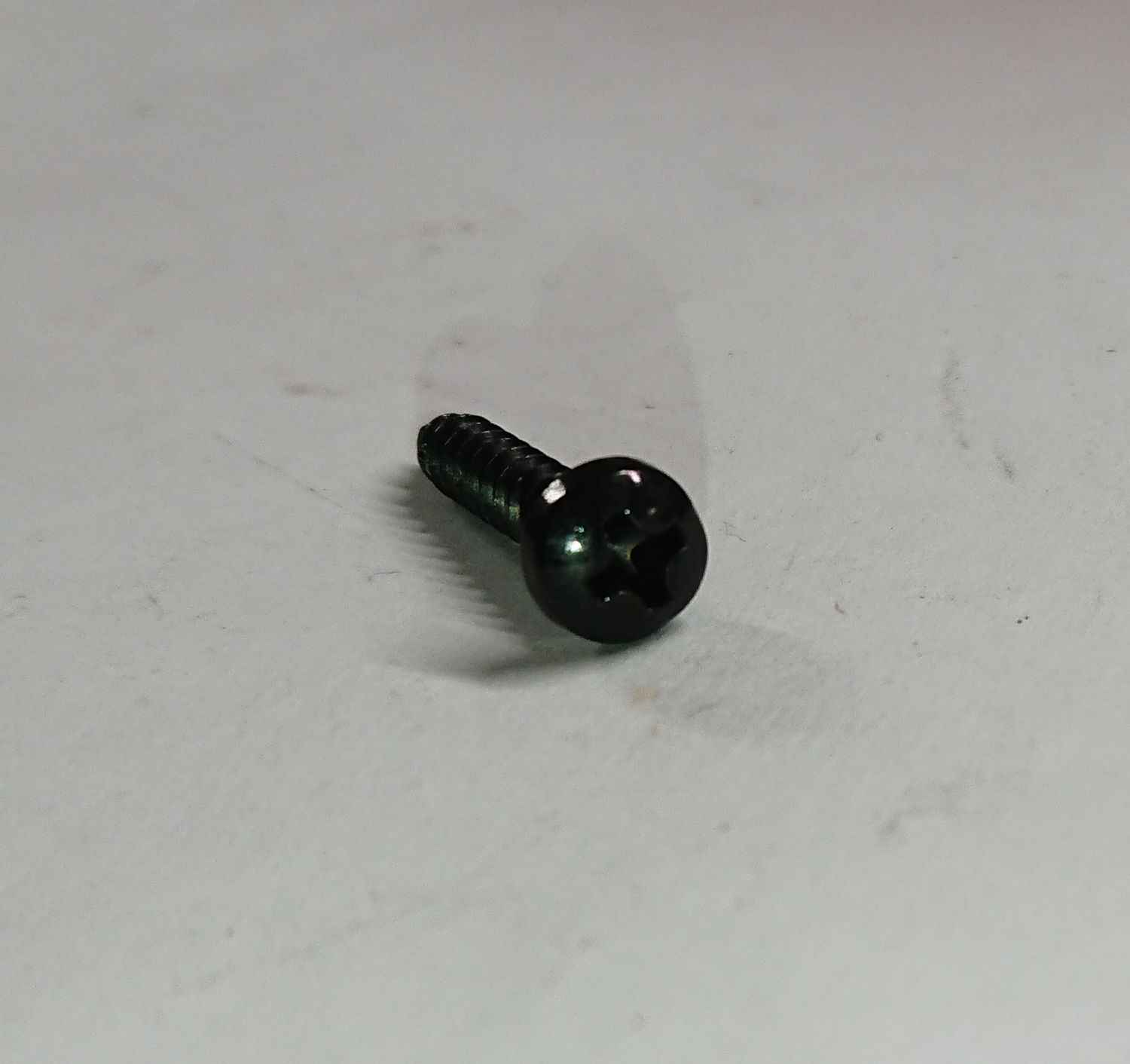 #592 Screw for license plate light above license plate