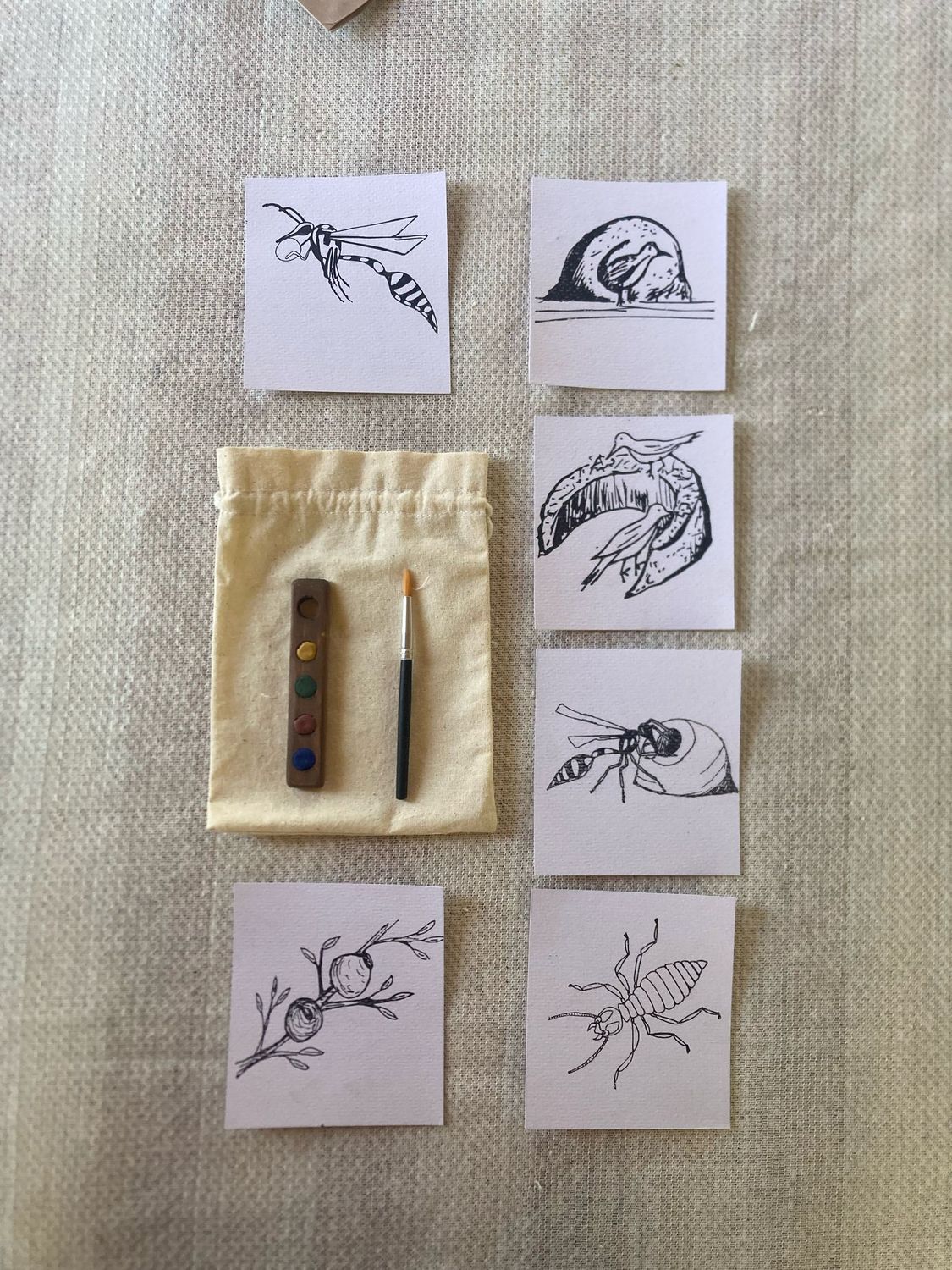 🎨 Kit de Acuarelas Artesanales - Mini Paleta Natural 🌿