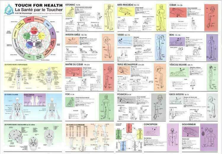 Santé par le toucher - Les 42 muscles