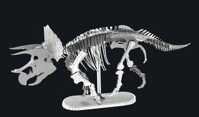 Triceratops Skeleton Metal Earth