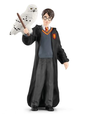 Harry Potter &amp; Hedwig