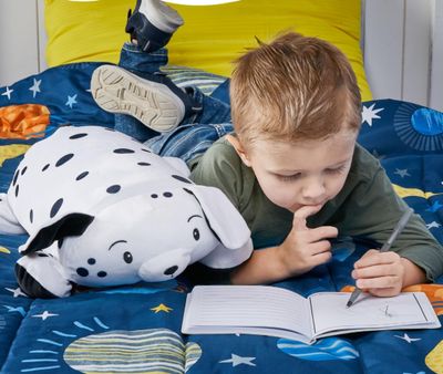 Damian The Dalmatian Memory Mate Plush