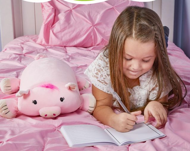 Piggles The Pig Memory Mate Plush