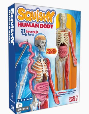 Squishy Human Body