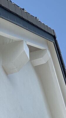 Taubenabwehr Vogelabwehr Taubenspikes montieren