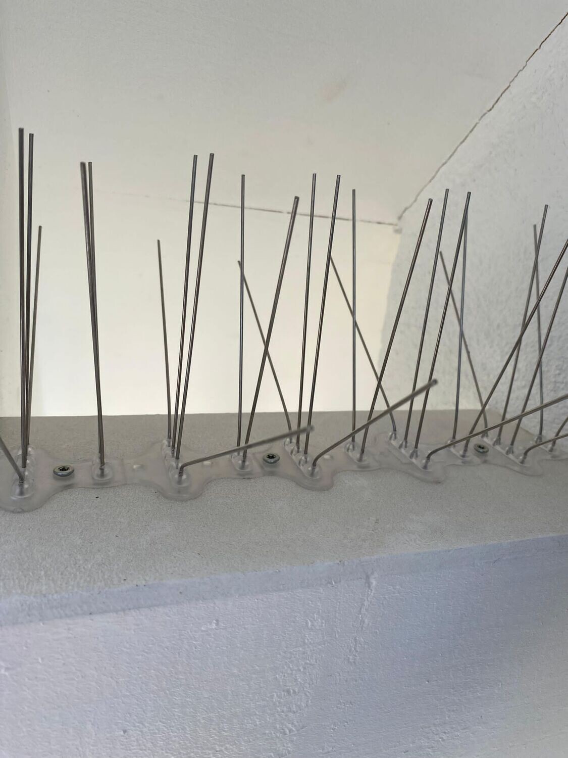 Taubenabwehr Vogelabwehr Taubenspikes montieren