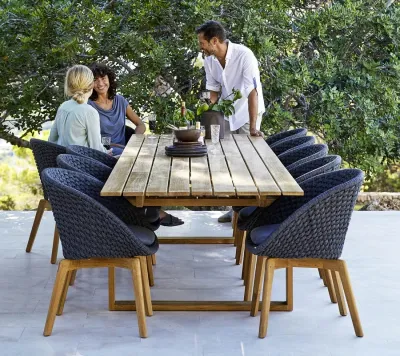 Peacock Dining Set 2