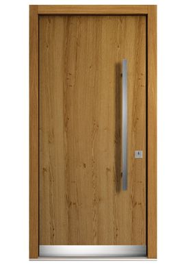 Model1111