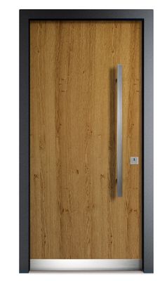 Model 2204