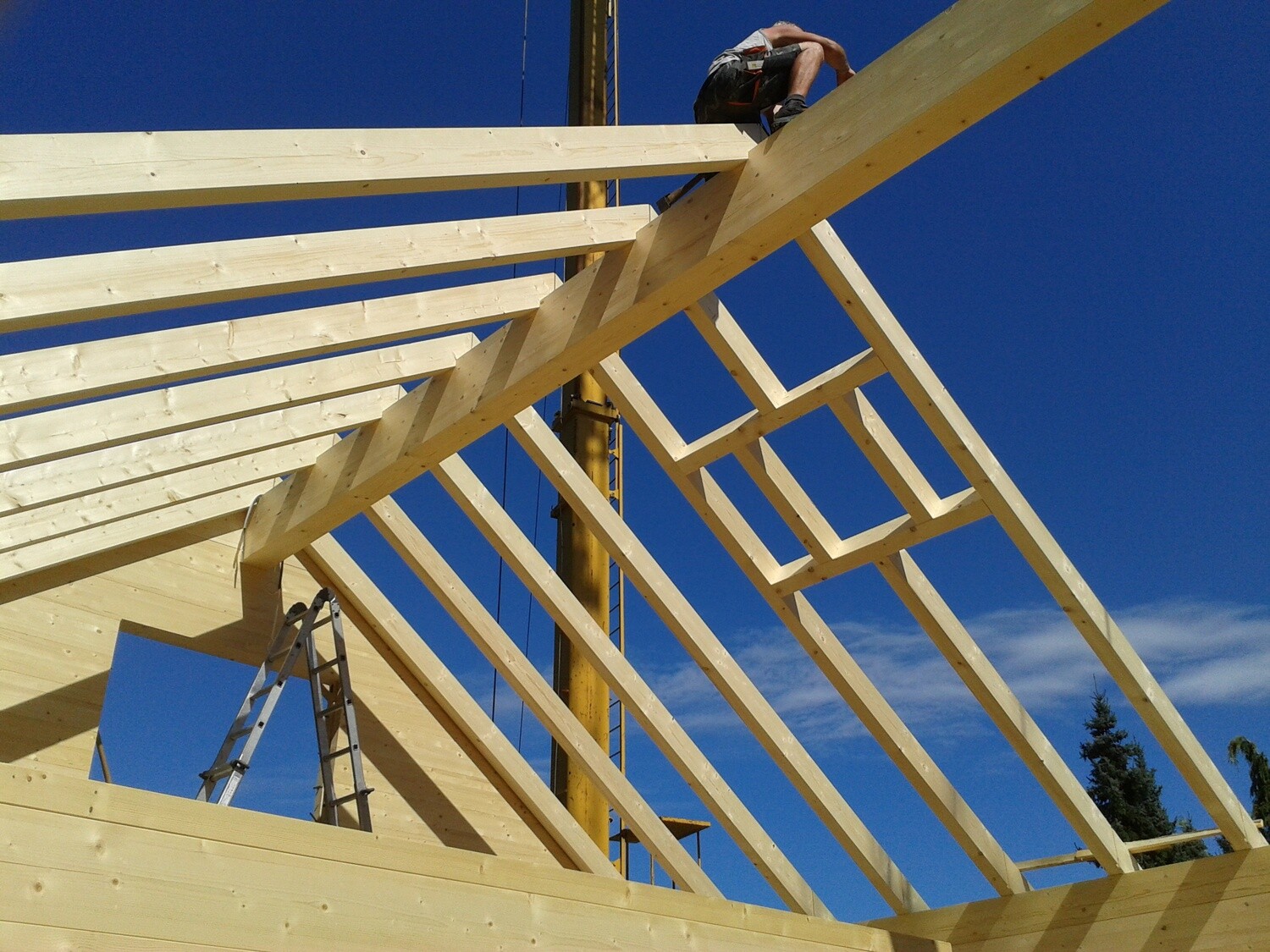 Roof Structure: Mono-pitch Cold Roof Combo