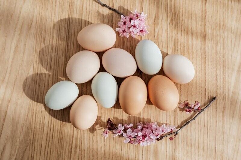 Organic Farm Fresh Eggs - 1/2 doz
