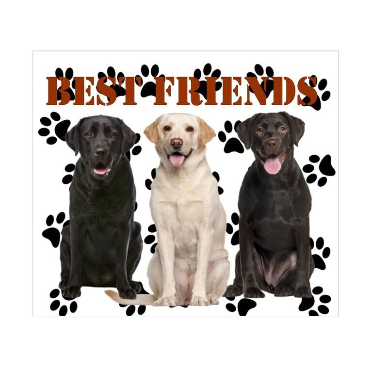 Best Friends Tumbler 20 oz / 30 oz