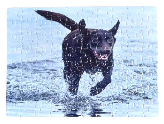 Running Black Lab Puzzle