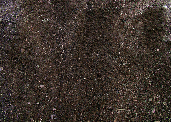 Compost