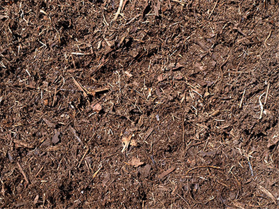 Organic Compost